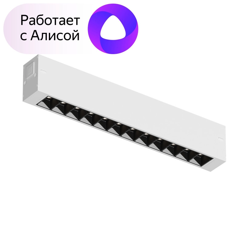 Светильник на шине Denkirs DK8001-WB