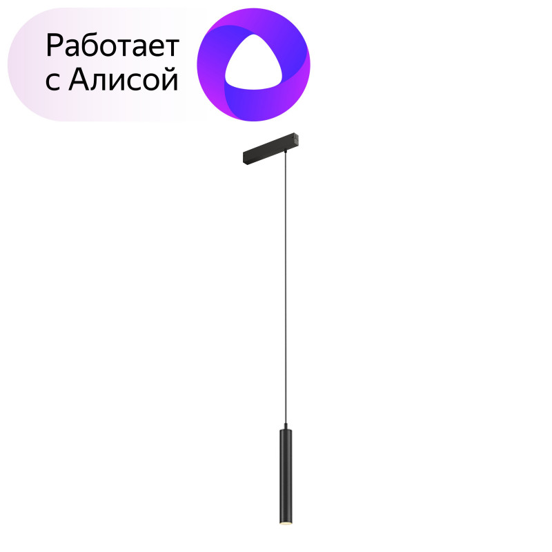 Трековый светильник Denkirs DK8008-BK