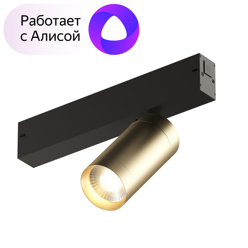 Трековый светильник Denkirs DK8010-BG