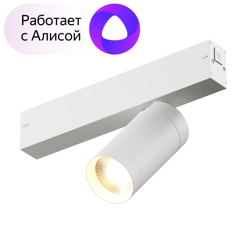Трековый светильник Denkirs DK8010-WH
