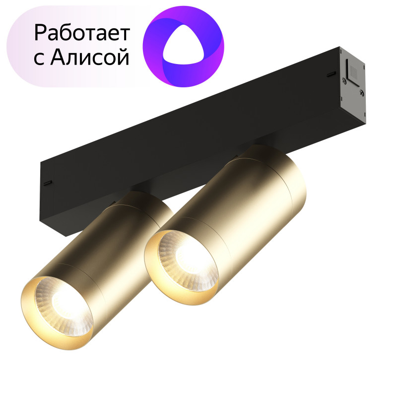 Трековый светильник Denkirs DK8012-BG